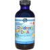 Nordic Naturals Childrens Dha 119 Ml